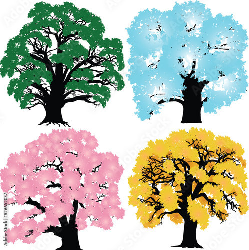 isolated old tree from four seasons