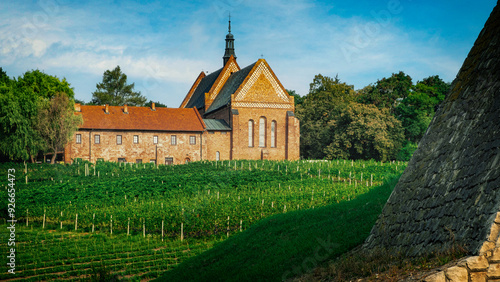 Vineyard