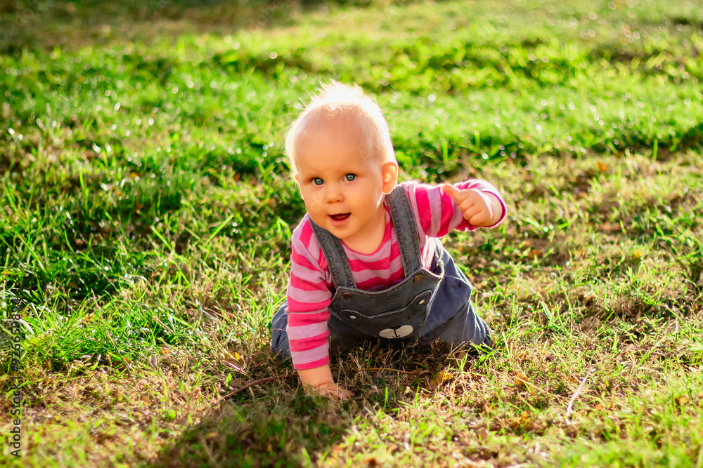 A Cute Baby Delightfully Having Fun While Enjoying Nature and Playing in the Warm Sunshine A Cute Baby Delightfully Having Fun While Enjoying Nature and Playing in the Warm Sunshine