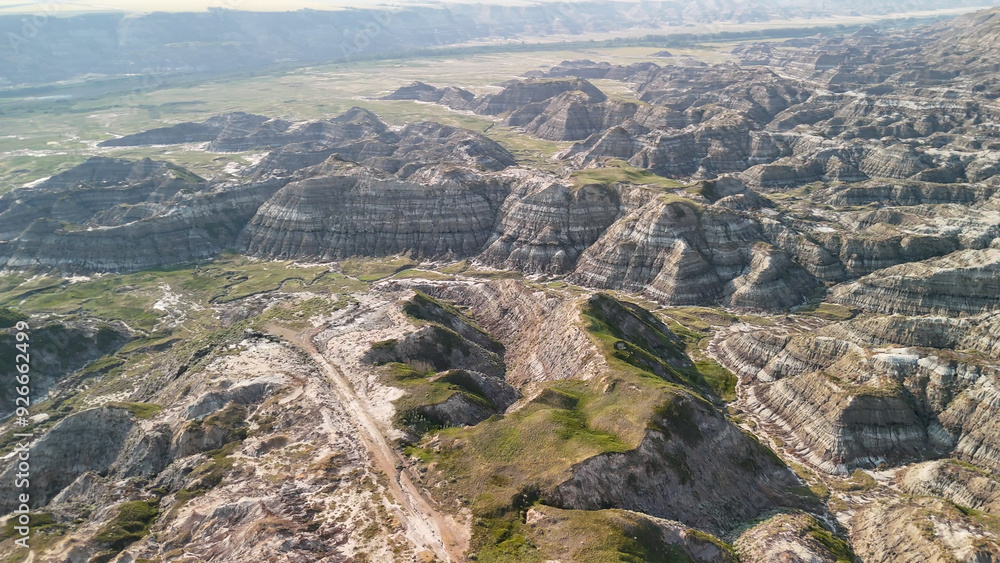 Fototapeta premium Aerial view of Horsethief Canyon in Alberta, Canada
