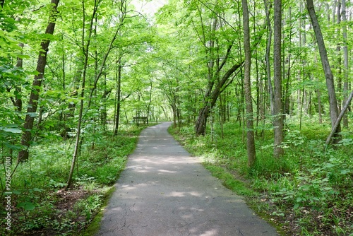 The long empty walkway in the woods at the park.