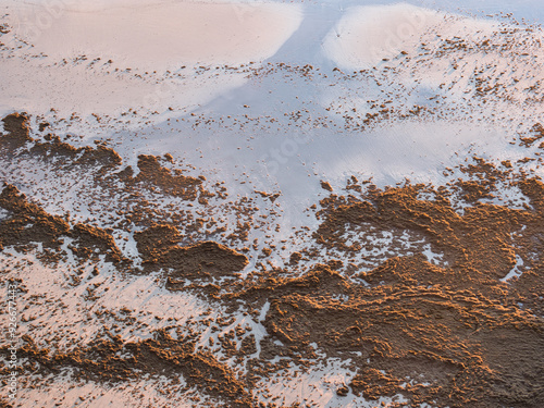 Fotografie Sand and Seaweed invasion on a Tranquil Beach