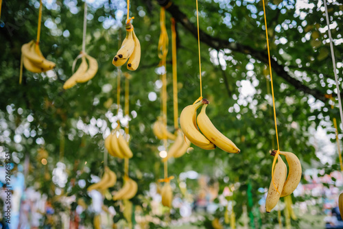 Valmiera, Latvia - August 17, 2024 - Close-up of bananas hanging from ribbons on a tree at an outdoor event, with a blurred green background of leaves and bokeh lights. Copy space. photo