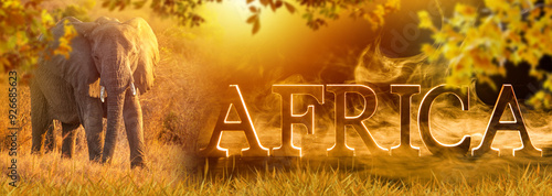 African savanna. Elephant s...