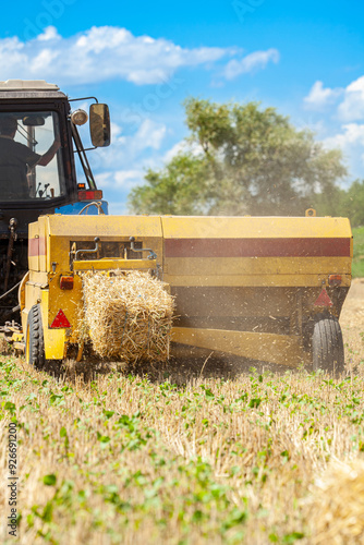 Tractor with baler making bales of hay in a crop field, with a blue sky with clouds. Following the machinery, multitudes of birds search for food. photo