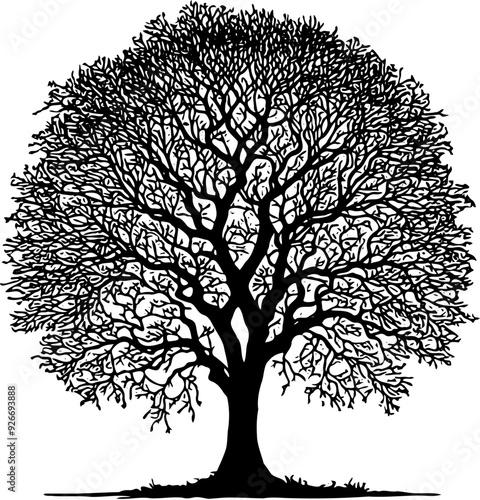  Tree black silhouette clip art. Tree isolated on white background. Tree silhouette vector. Simple Tree icon vector