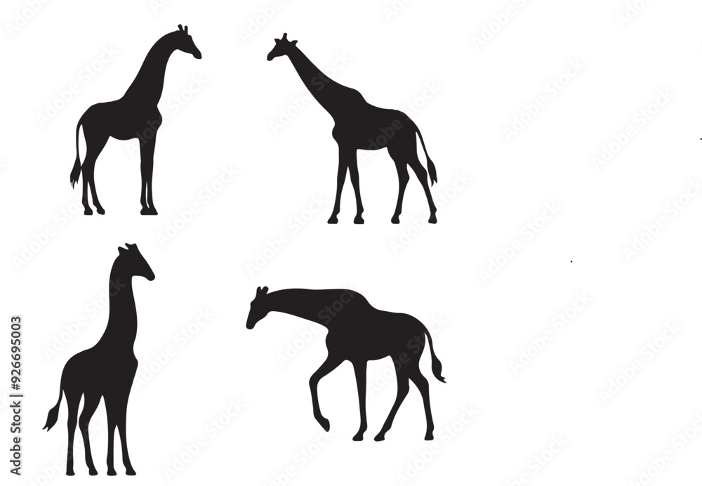 black silhouette Giraffe set vector black silhouette Giraffe set vector