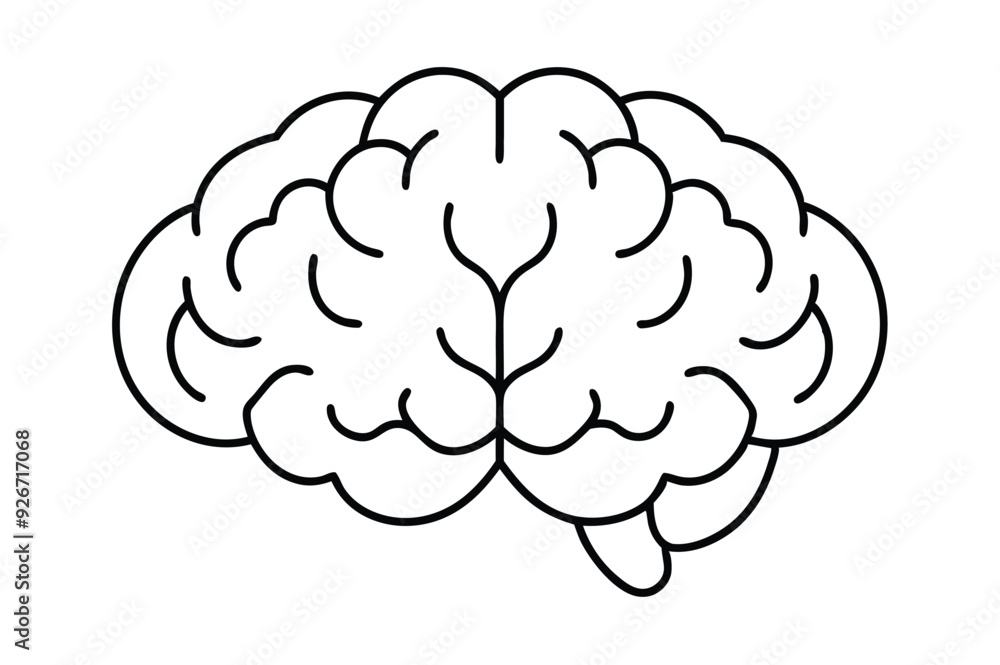 Brain line illustration mind vector Brain line illustration mind vector
