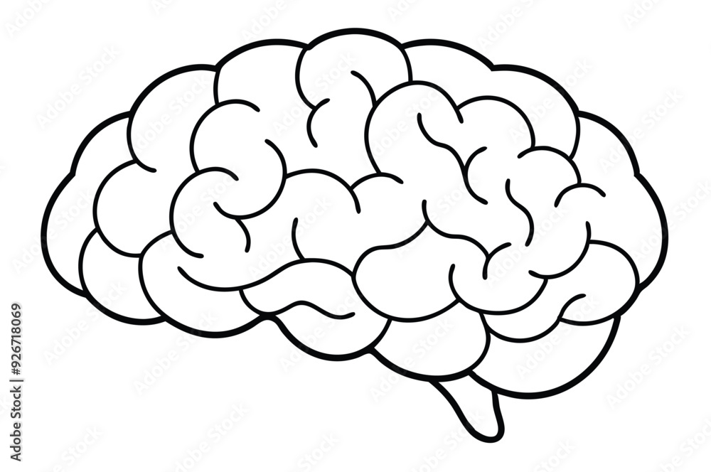 Brain line illustration mind vector Brain line illustration mind vector