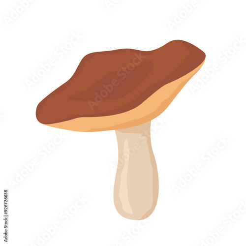 edible forest mushroom - vector illustration