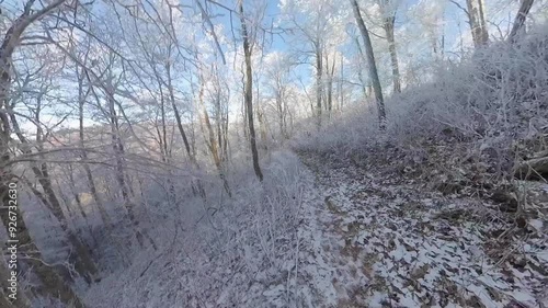 Happy Faces in the Snow in a Winter Wonderland in the Smokies photo