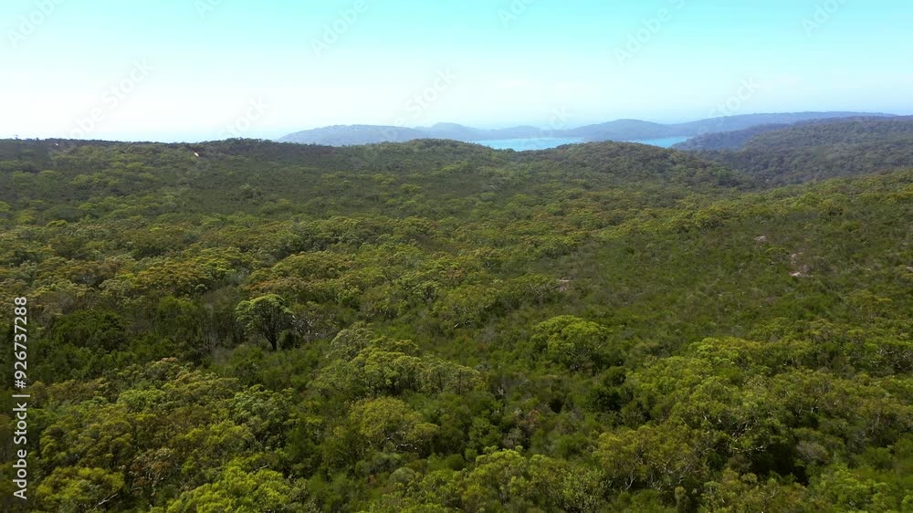 Nature, landscape and drone of trees on mountain for natural background, travel and environment. Earth, ecology and aerial of plants for scenic view, holiday or tropical destination in countryside Nature, landscape and drone of trees on mountain for natural background, travel and environment. Earth, ecology and aerial of plants for scenic view, holiday or tropical destination in countryside