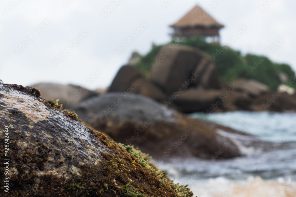 Close-up photo of a rock with moss on the beach and a hut on a hill in the background Close-up photo of a rock with moss on the beach and a hut on a hill in the background