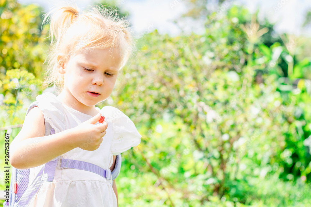 A young child enjoys exploring the bright and colorful garden and eating fresh strawberries from the bed A young child enjoys exploring the bright and colorful garden and eating fresh strawberries from the bed