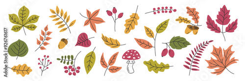 Cute Autumn leaf berry Collection. Falling forest leaves acorn berries mushroom background. Natural foliage Doodle illustration. Icon set. Design element