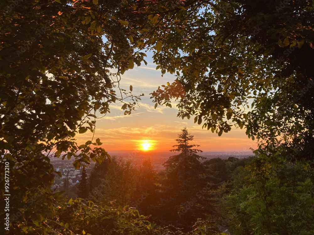 Abendlicht in einem Garten mit Bäumen und Blick in die Ferne