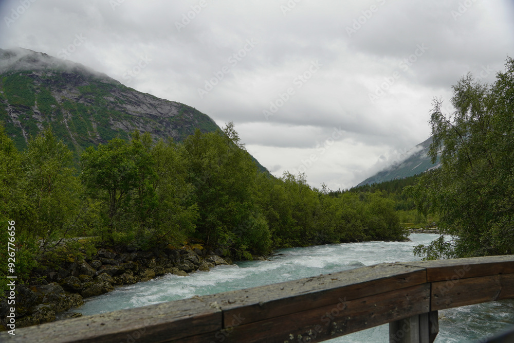Fototapeta premium landscape with a bridge