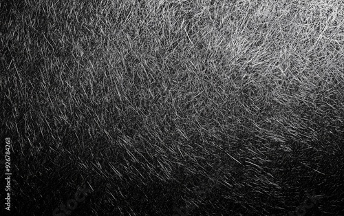 Abstract Black and White Texture photo