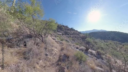 Wallpaper Mural Hiking Uphill on the Arizona Trail in Saguaro National Park Torontodigital.ca