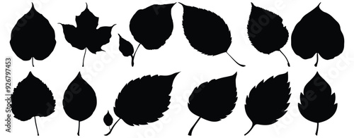 Leaf silhouette set vector design big pack of foliage illustration and icon
