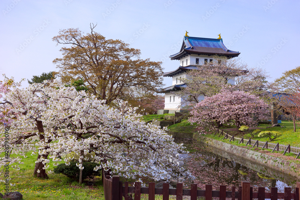 松前城の桜