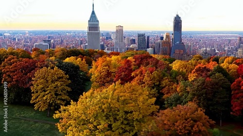 Autumn colors changing on trees in park with city skyline in background