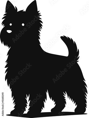 Cairn Terrier Dog