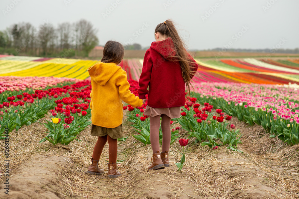 two girls walking in a tulip field two girls walking in a tulip field