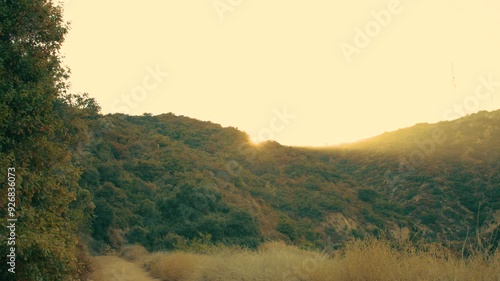 The sun shines brightly above the mountains, casting warm light across the landscape. A handheld long shot of a dense forest and green mountains at Beaudry Loop Trailhead, Glendale, CA. photo