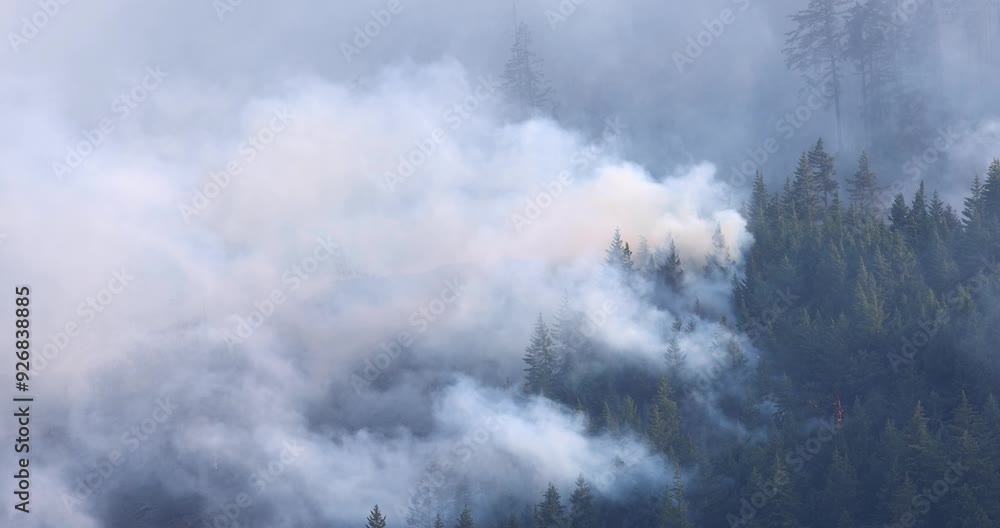 2024 Columbia River Gorge Microwave Tower Wildfire. 2024 Columbia River Gorge Microwave Tower Wildfire.