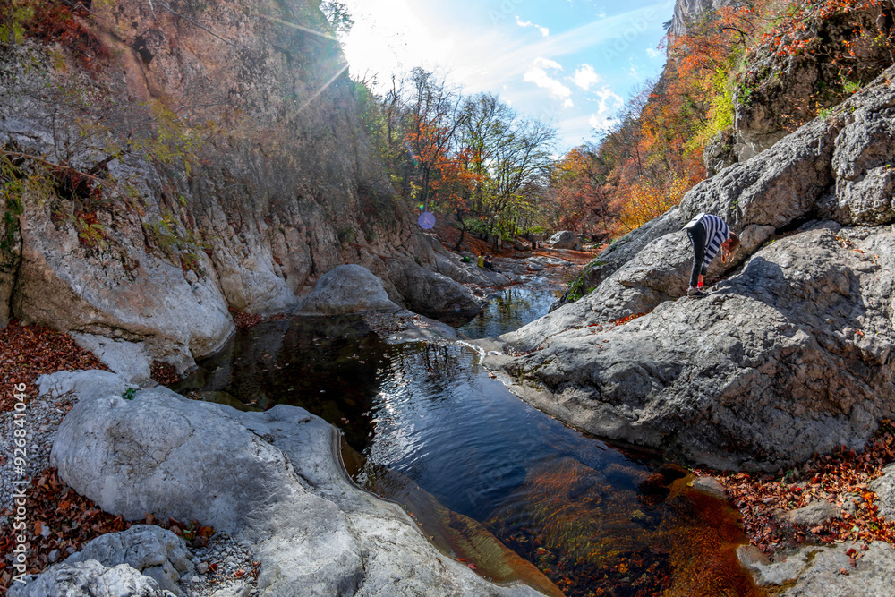 Obraz premium Autumn forest