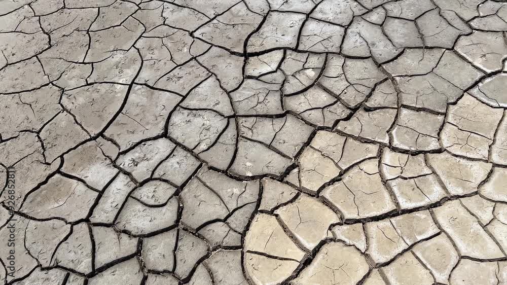 Dry Soil with Cracked Surface Dry Soil with Cracked Surface