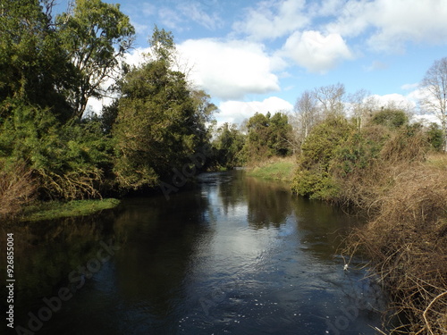 The beauty of a river