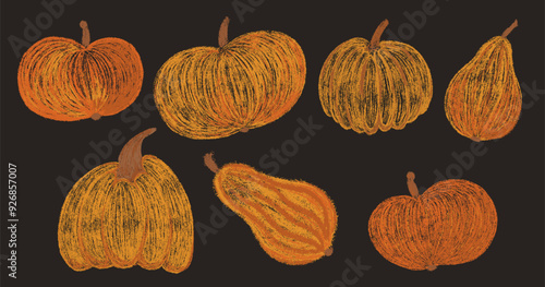 Chalk drawing pumpkins collection. Set of pencil hand drawn textured autumn pumpkin. Orange fall Halloween or Thanksgiving crayon freehand elements. Isolated vector illustration 