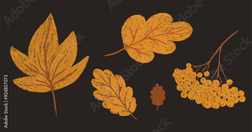 Autumn leaves and rowan berries branch. Fall orange chalk drawing collection oak, maple leaf. Pencil texture freehand childish foliage elements set. Crayon textured kids isolated vector illustration 
