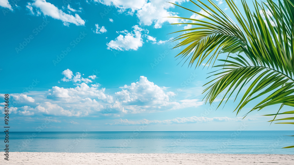 beach with blue sky beach with blue sky