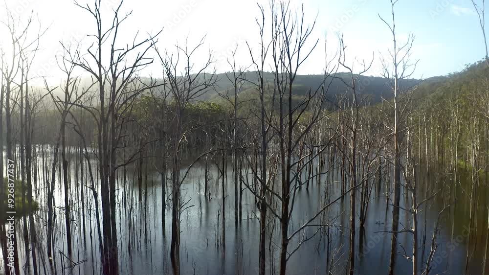 Lake, wetland and trees in nature for environment, ecosystem and ecology in forest or woods. Natural background, countryside landscape and aerial of water in marsh, habitat and vegetation in river Lake, wetland and trees in nature for environment, ecosystem and ecology in forest or woods. Natural background, countryside landscape and aerial of water in marsh, habitat and vegetation in river