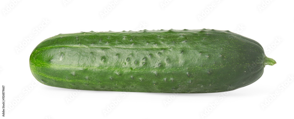 One fresh green cucumber isolated on white One fresh green cucumber isolated on white