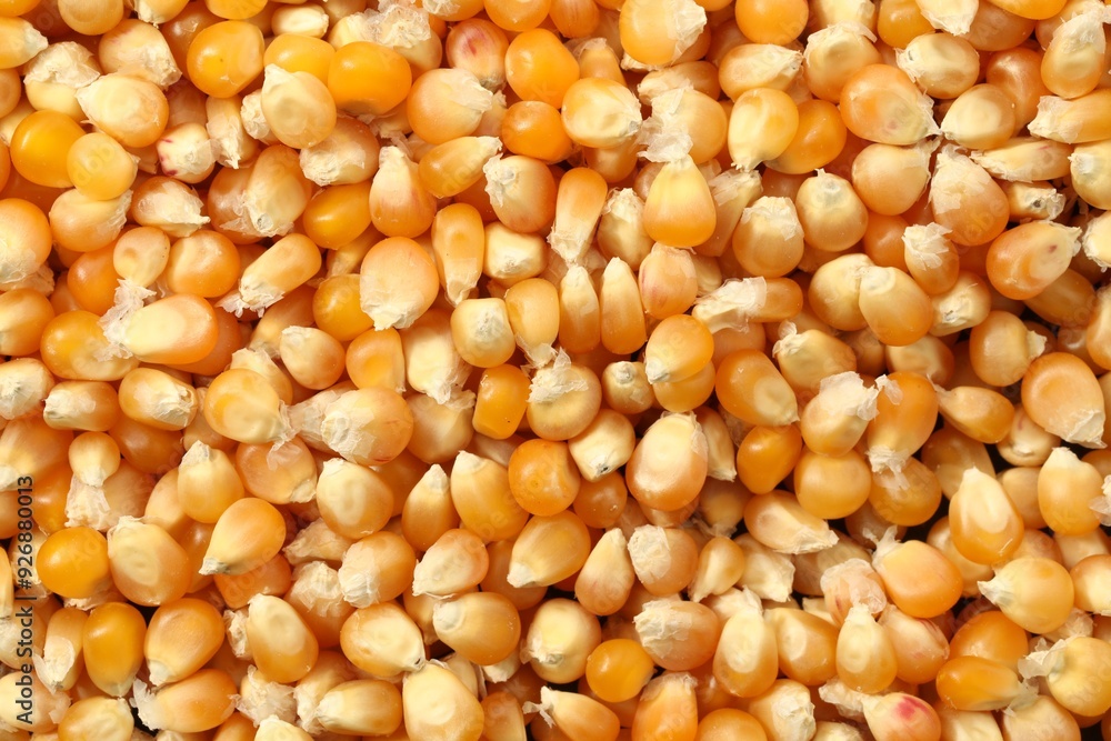 Fresh corn kernels as background, top view Fresh corn kernels as background, top view