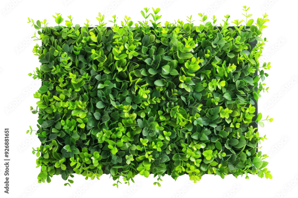Obraz premium Embracing Nature in the Urban Landscape. Modern cityscape with greenery concept