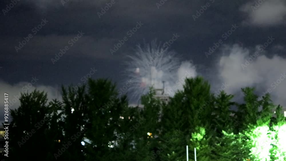August 5, 2024. Sendai, Miyagi Prefecture, Japan.Fireworks from the Sendai Tanabata Fireworks Festival photographed from the banks of the Hirose River. August 5, 2024. Sendai, Miyagi Prefecture, Japan.Fireworks from the Sendai Tanabata Fireworks Festival photographed from the banks of the Hirose River.