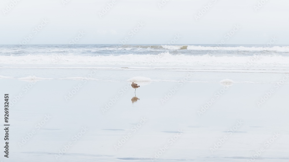 Single brown bird standing on the wet sand near the ocean under the cloudy sky. Single brown bird standing on the wet sand near the ocean under the cloudy sky.