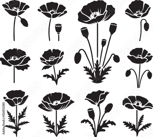 poppy flower black silhouette illustration vector Set, Poppy flower silhouette,