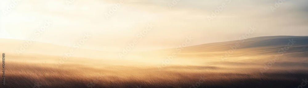 Soft, golden light at sunset over a field. Soft, golden light at sunset over a field.