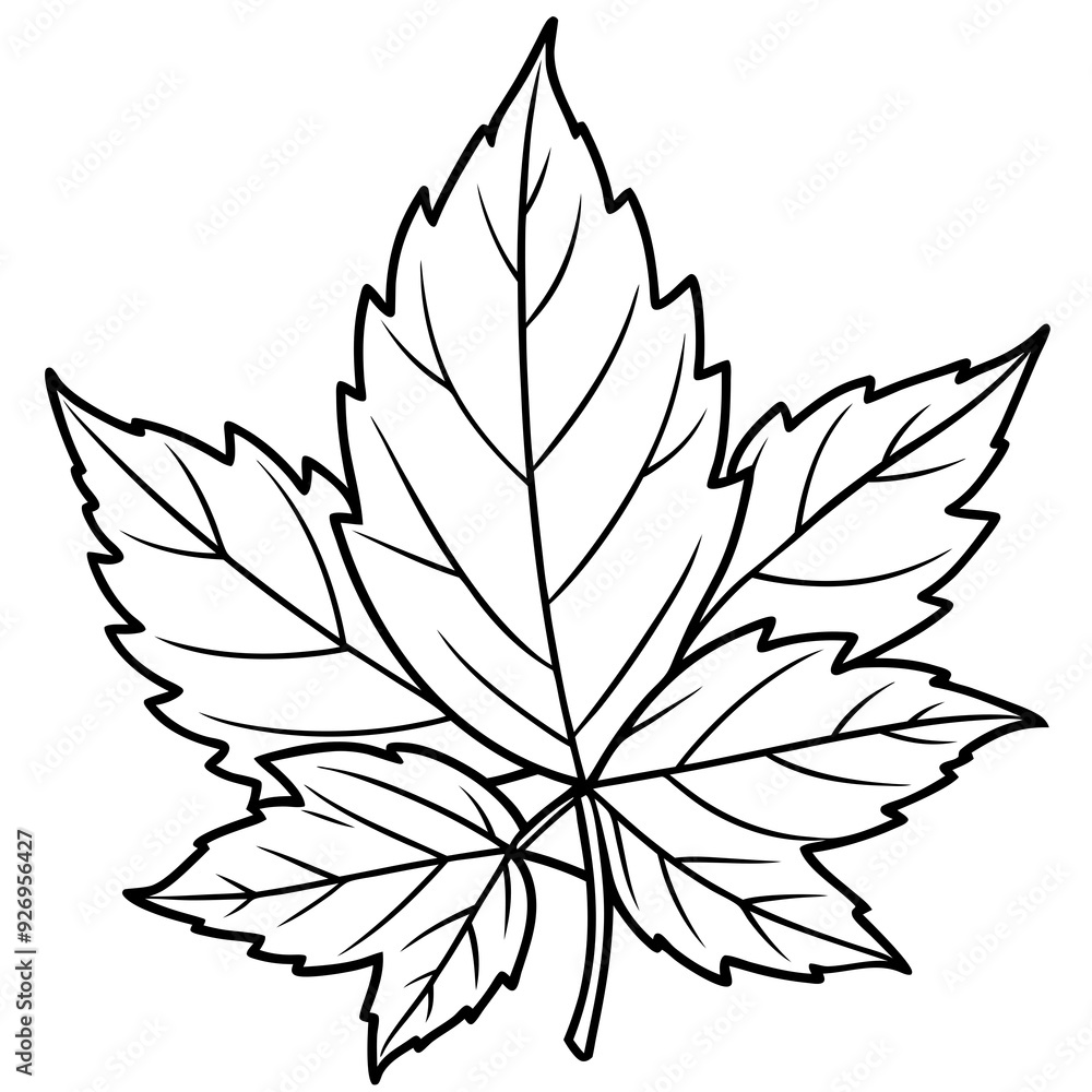 Fototapeta premium black and white leaf silhouette vector illustration