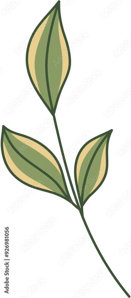 Fototapeta premium Hand-Drawn Leaf Illustration