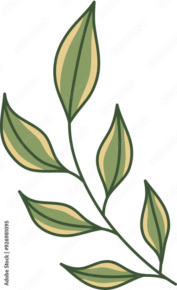 Hand-Drawn Leaf Illustration Hand-Drawn Leaf Illustration