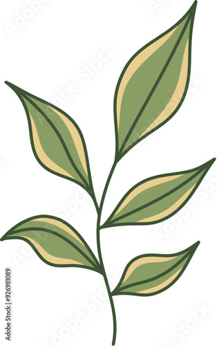 Hand-Drawn Leaf Illustration