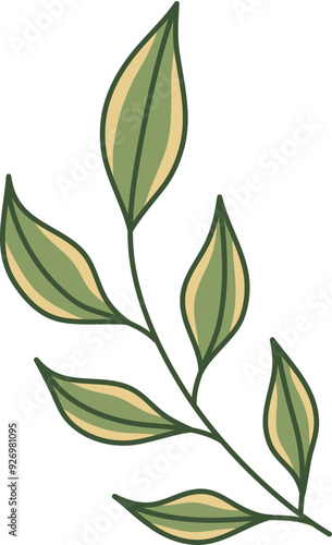 Hand-Drawn Leaf Illustration