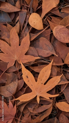 Rust-Colored Leaves with Earthy, Reddish-Brown Hues Similar to Rusted Metal or Fallen Leaves. Vertical. Wallpaper